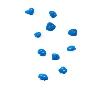Frog 010.06 - Flathold