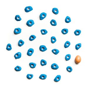 SPORES - Morpho