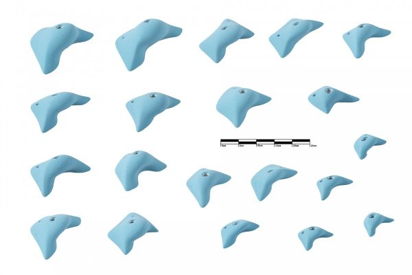 Competition Kite - Rookie - XCULT