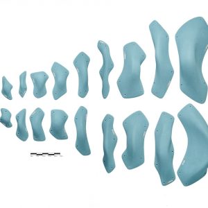 Evolution Fiberglass - Set 6 - XCULT